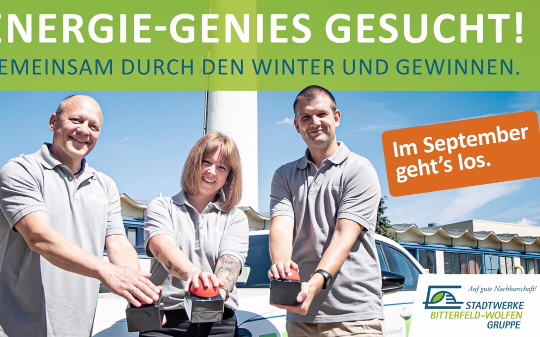 ENERGIE-GENIES GESUCHT